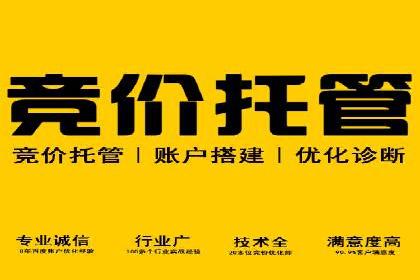SEM外包公司案例：打造高效营销策略